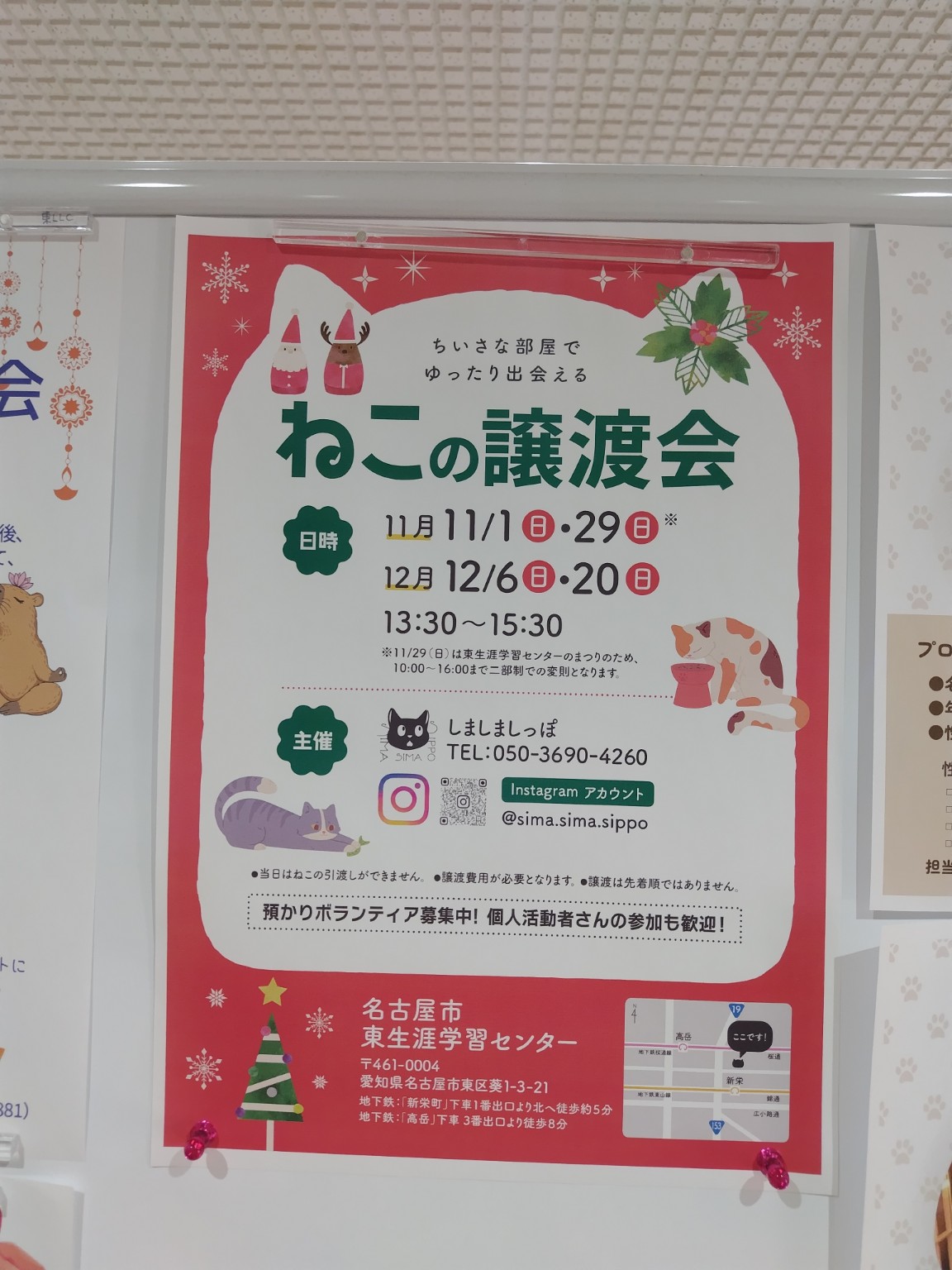 しましましっぽ主催の譲渡会ポスター