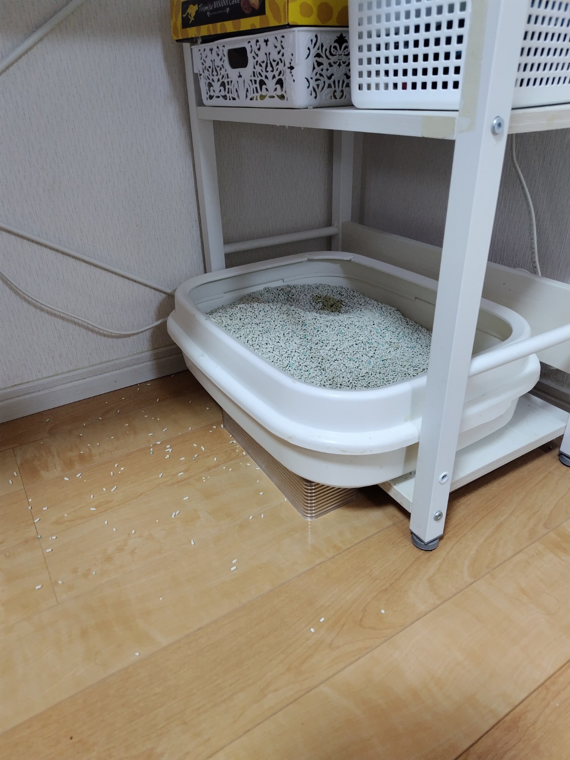 雷牙の猫用トイレ