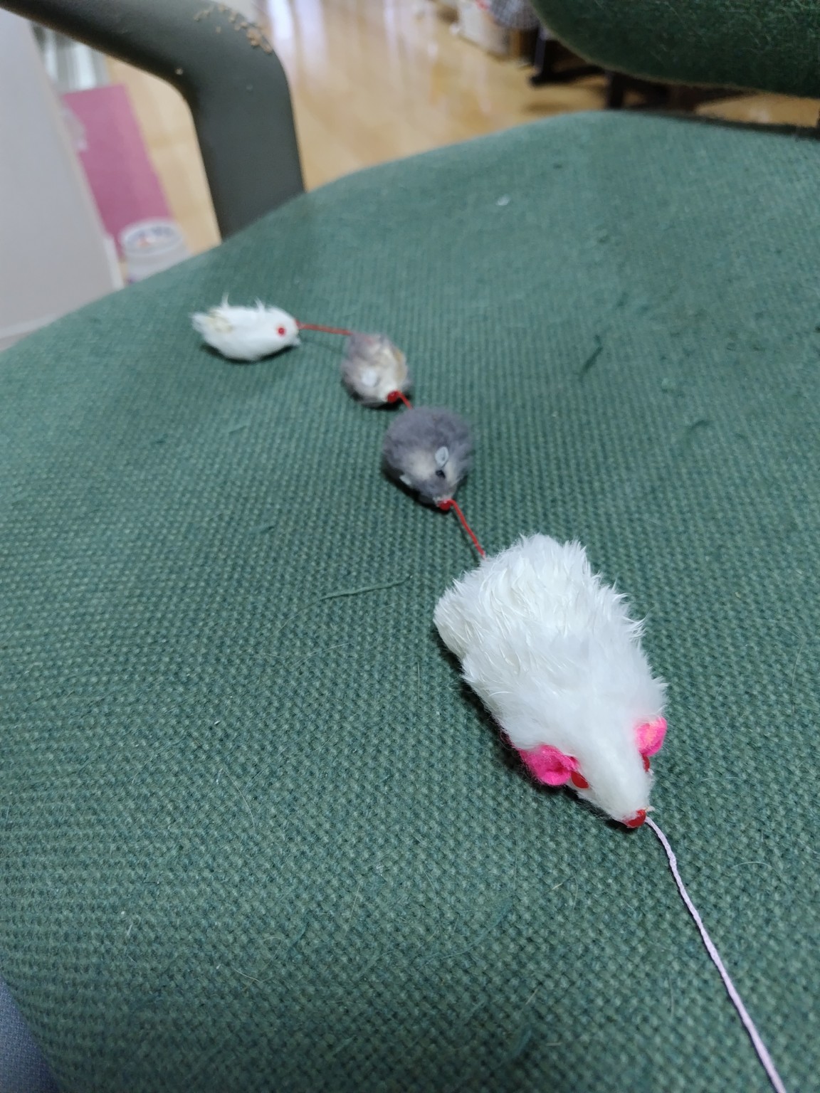 ネズミのおもちゃ